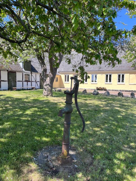 Langegyde, Vester-Skerninge