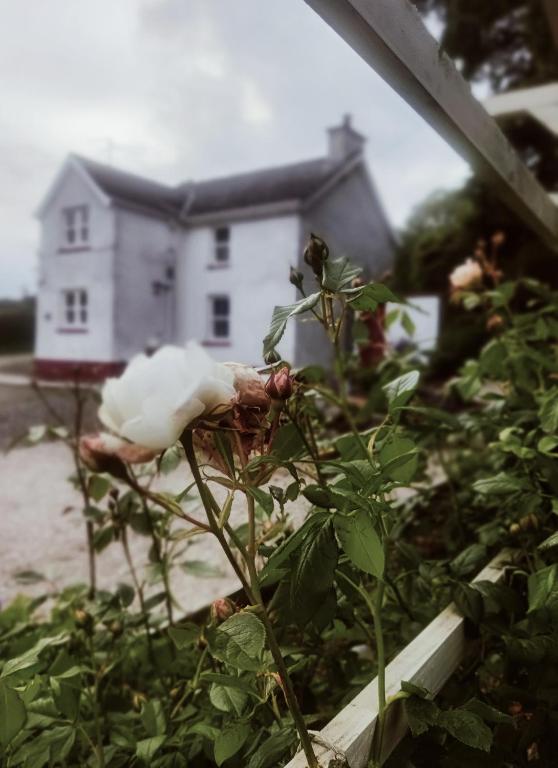 The Home House, Plumb Bridge