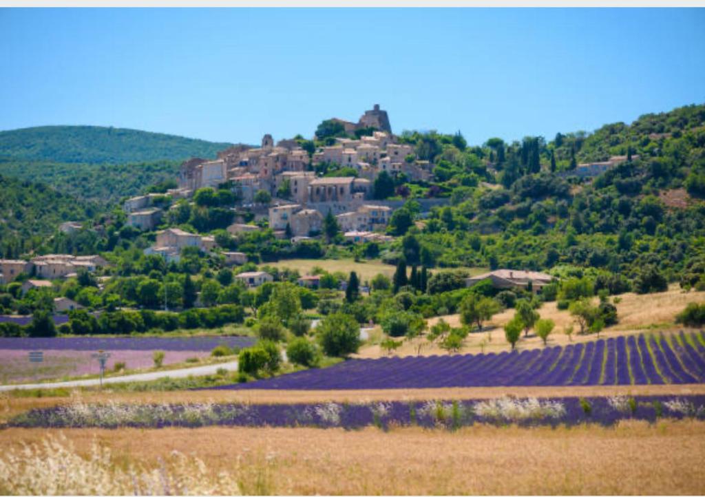 Villa ROMARY Piscine & Proche Centre Saint Rémy de Provence - 2