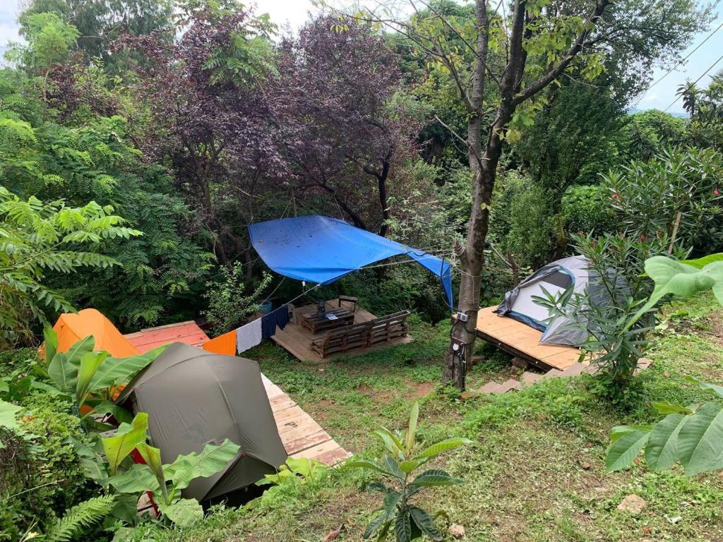 Forest & Sea Campsite, Tsikhisdziri