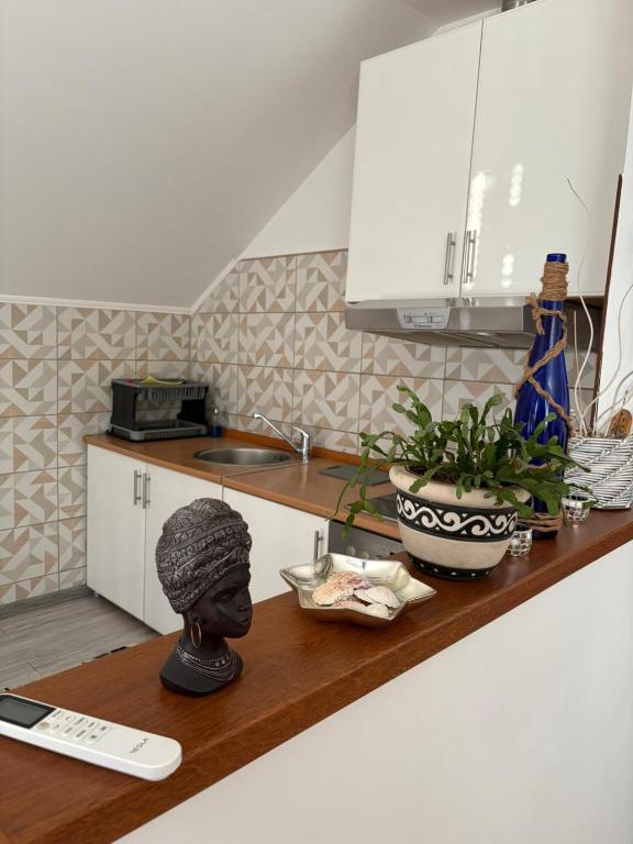 Apartman Salus - 4