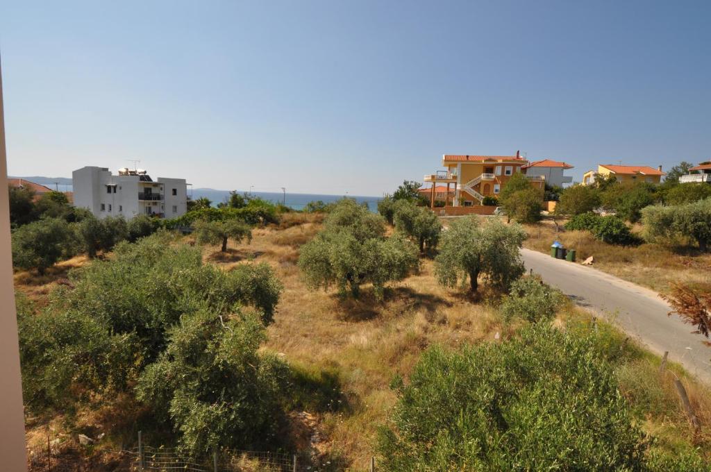 Villa Kaiti photo