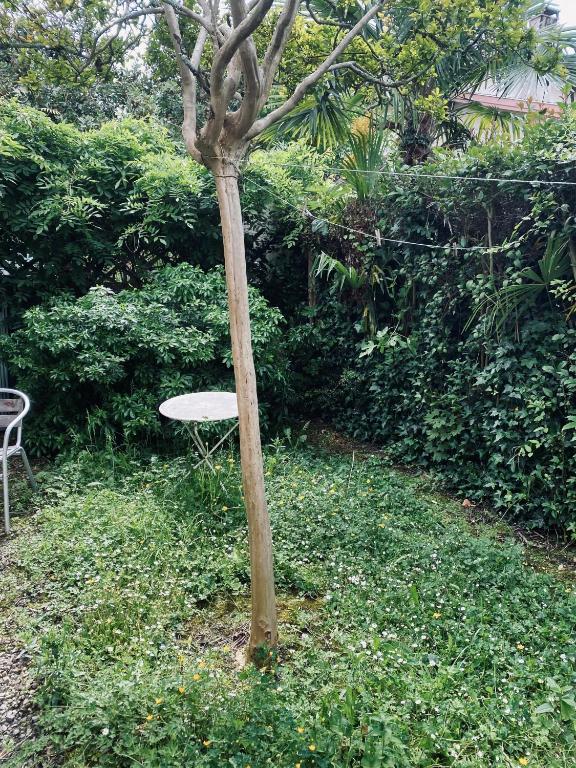 Appartement Cosy Pau avec Jardin - 4
