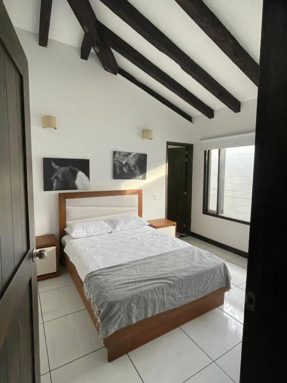 Finca La Mina - 4