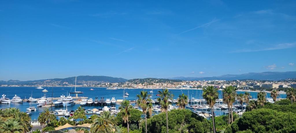 Vue unique sur toute la baie de Cannes et la mer, Cannes