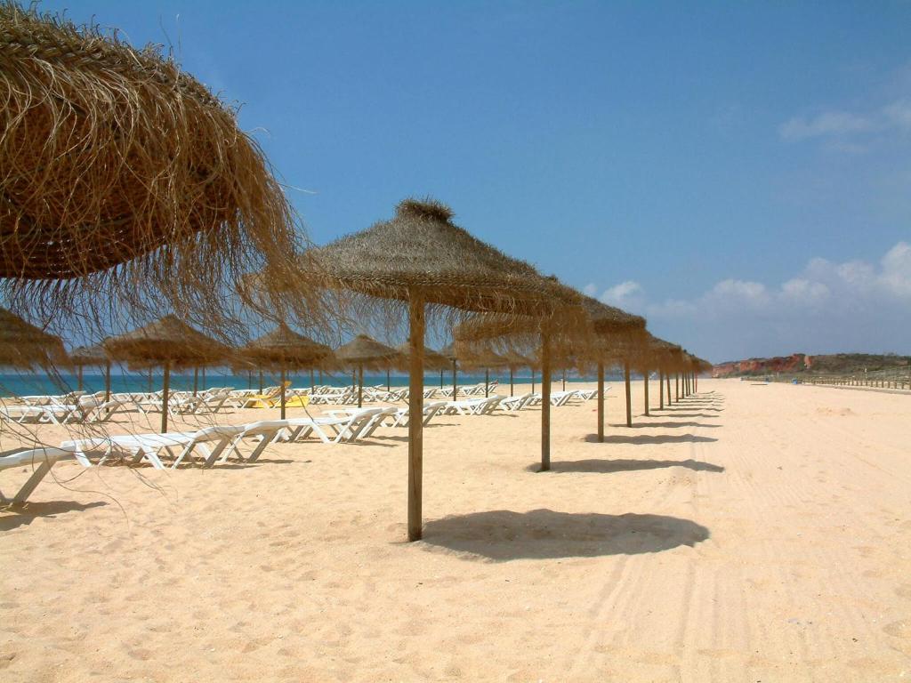 Vilamoura Garden Hotel photo