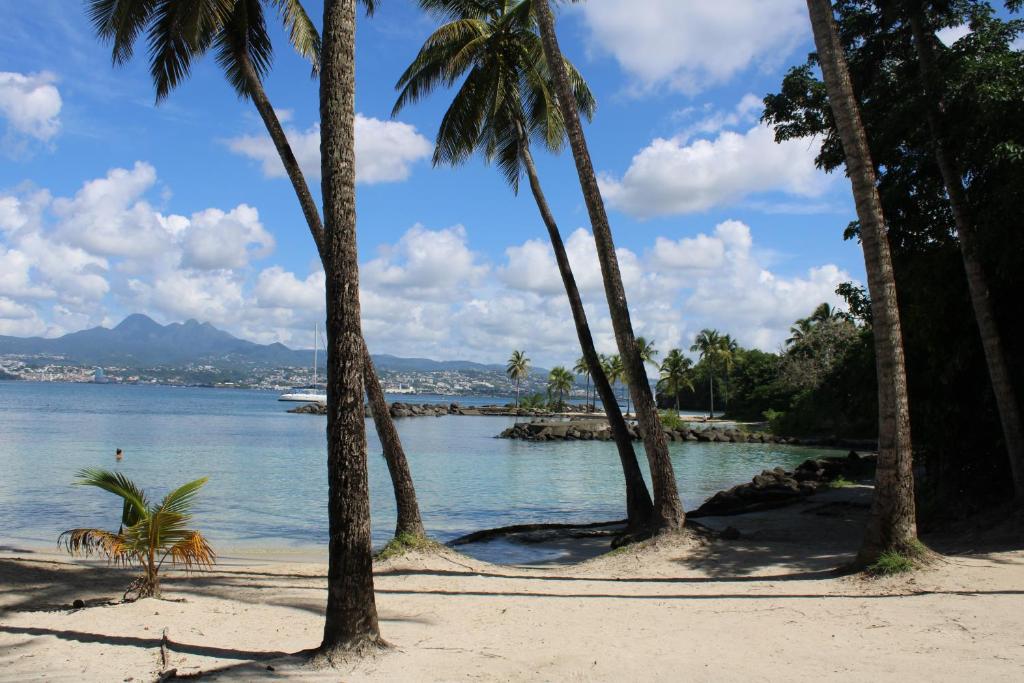L'Orchidée Bleue, Les Trois-Îlets