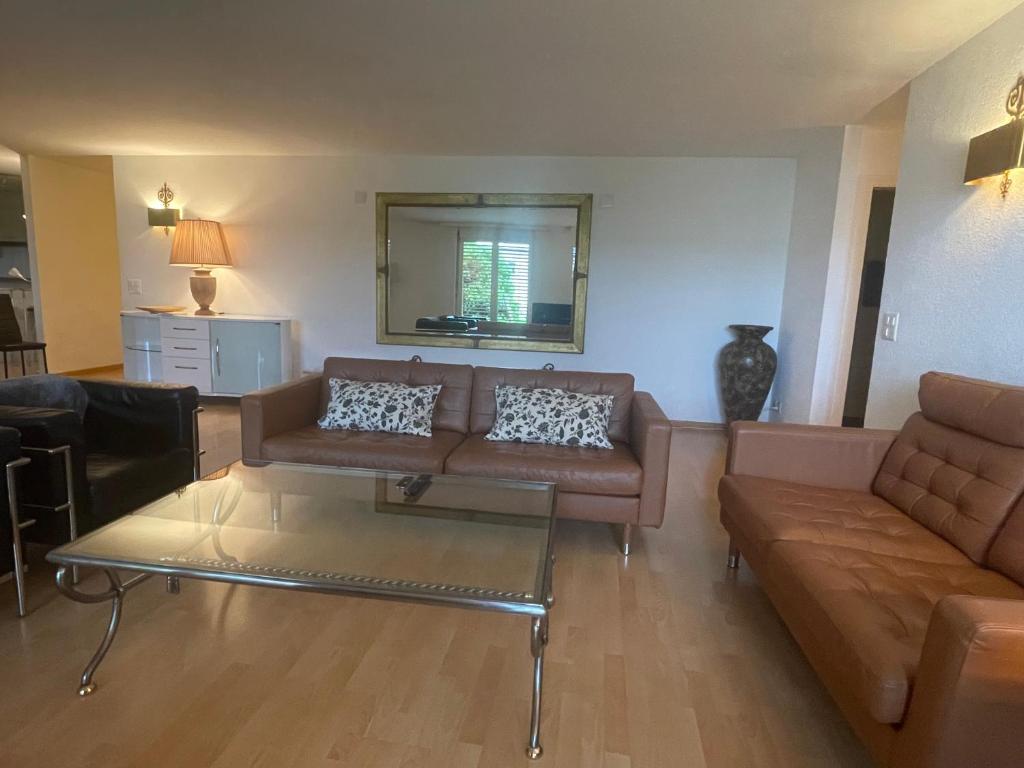 Centrally located, Spacious Modern Apartment, Curych