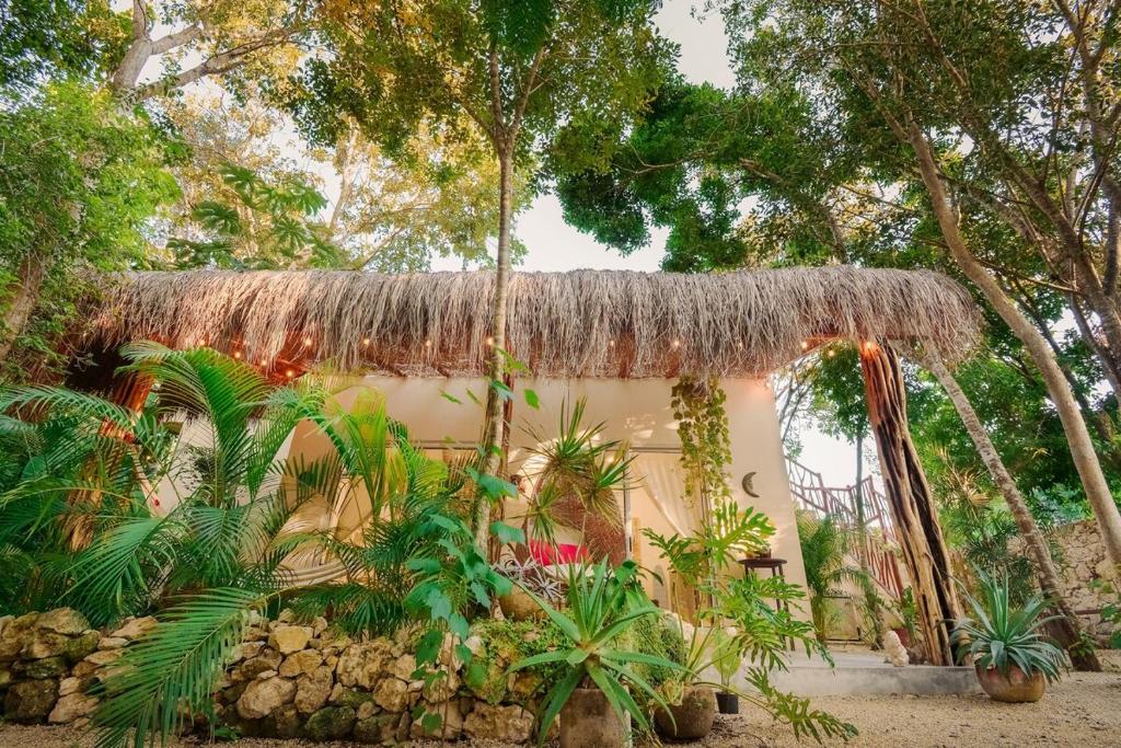 Casita Deva Stylish Mex casita, epic rooftop pool - 2