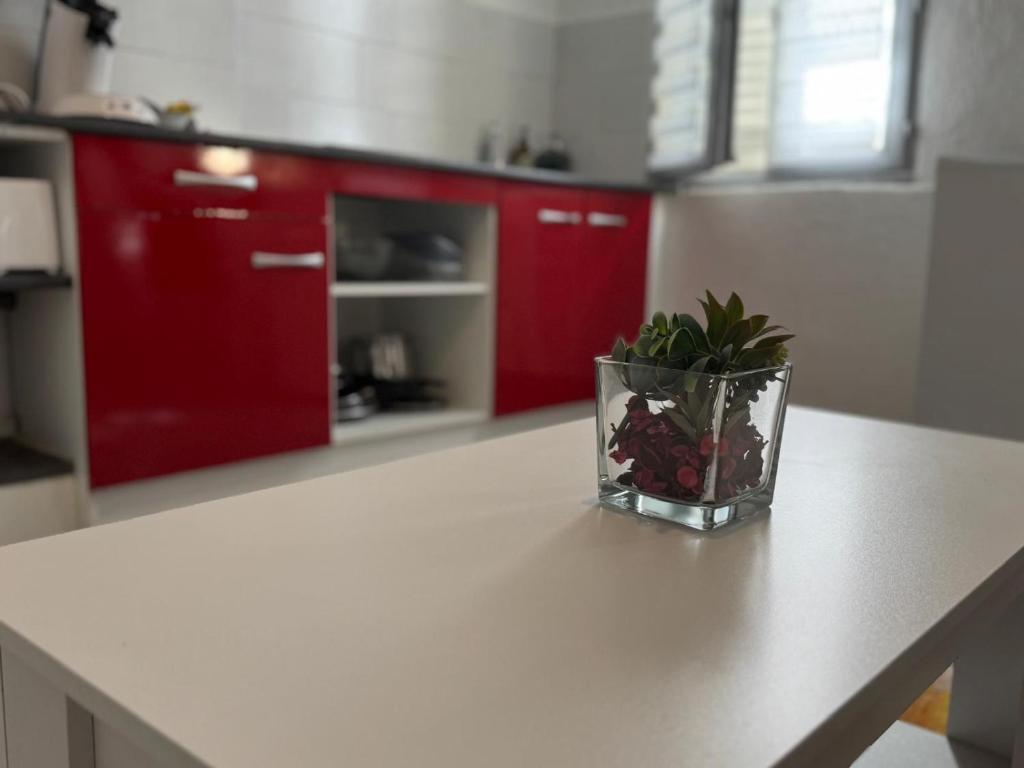 Studio 2 personnes dans le célèbre quartier des chartreux - 4