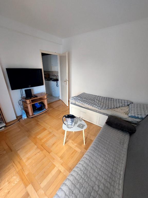 Cvijanović 33, Novi Sad