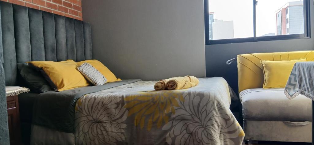 Acogedor departamento en el centro de la ciudad - 3