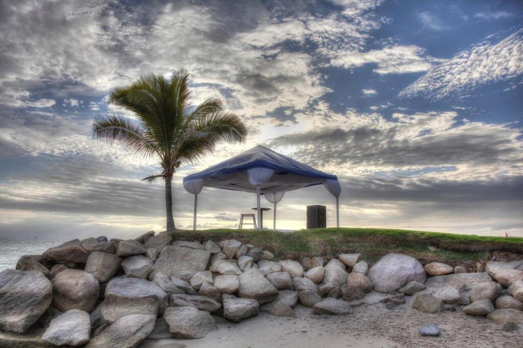 アクティビティ