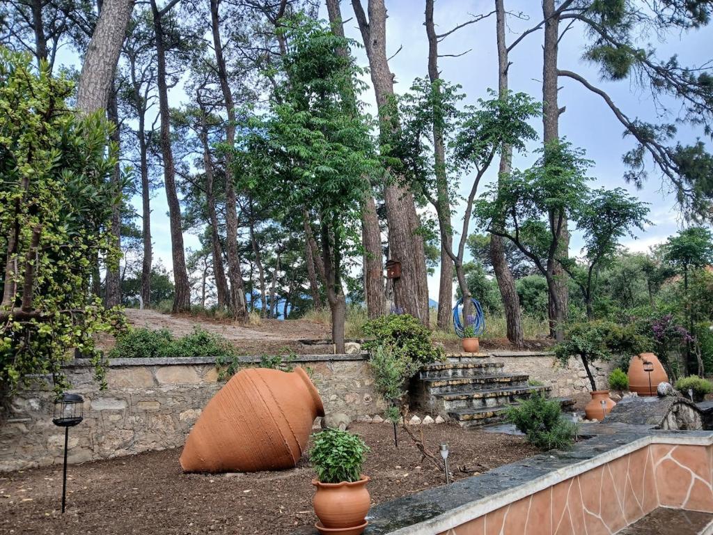 Melody, Karlovasi Samos cottage, Karlovasi