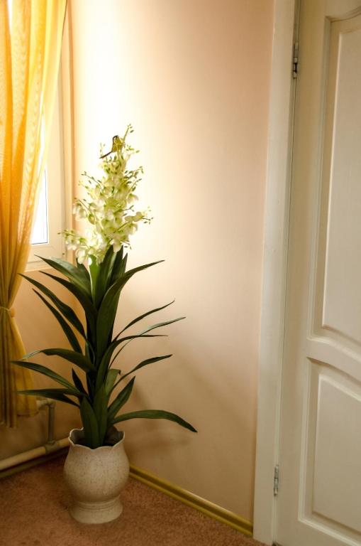 Afonya Hotel photo