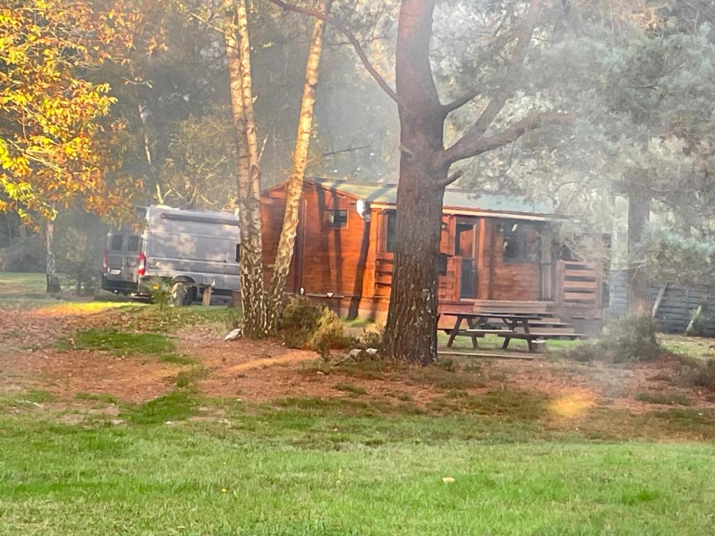 Chalet dans les bois, Parigné-lʼÉvêque