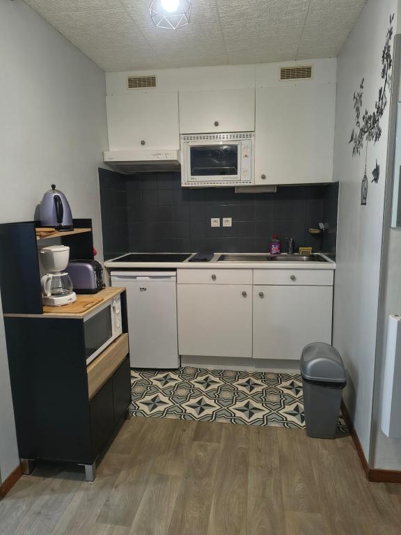 Appartement plein centre - 5