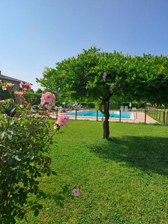 La Locanda Dell'olmo - 5