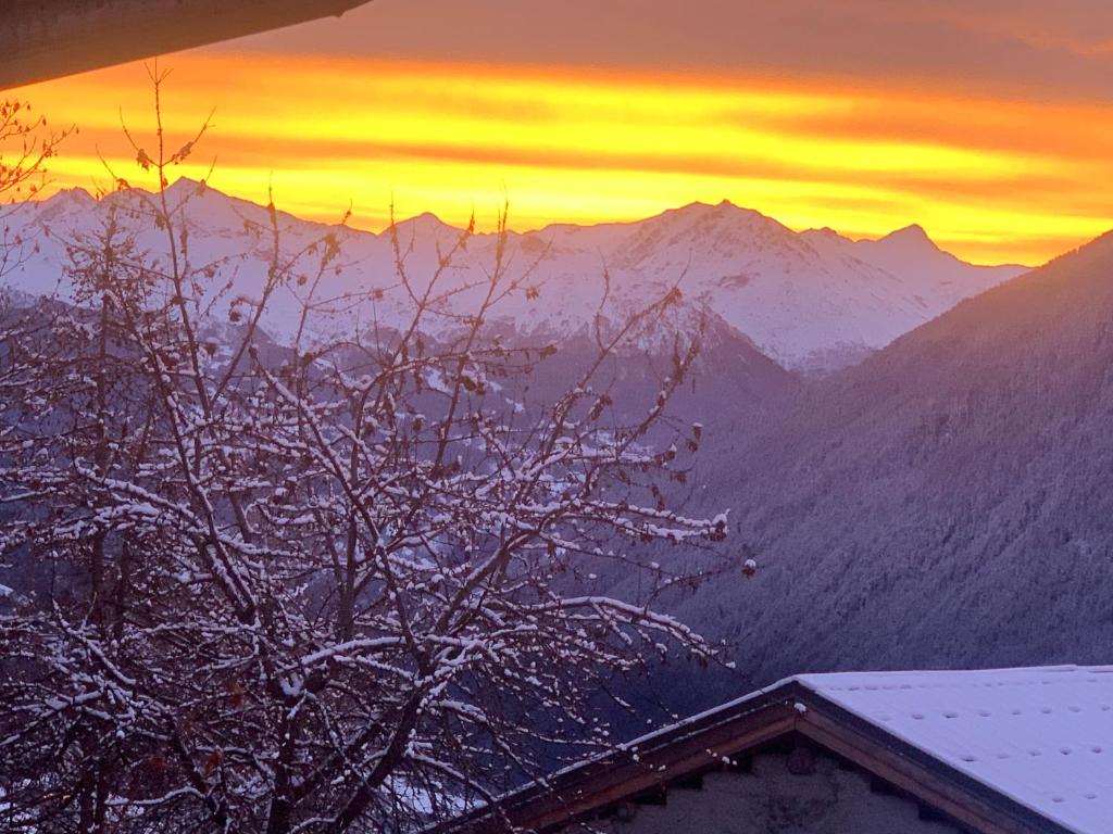 View