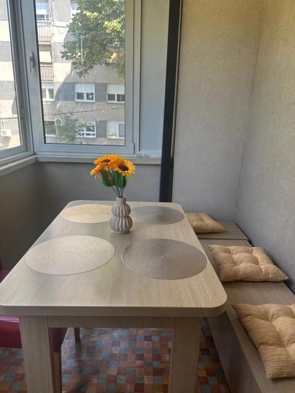 Cozy two bedroom in Belgrade - 3