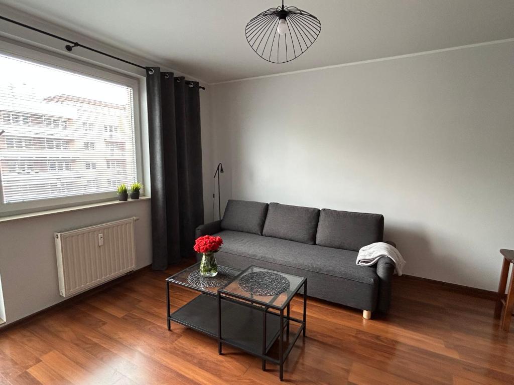 Grey Studio Gdynia, Gdyně