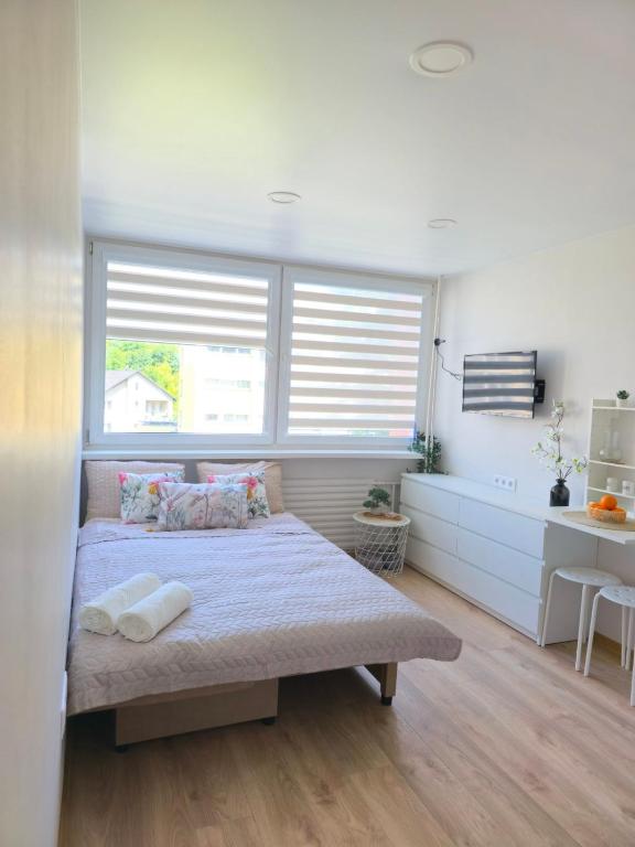 Studio 11, Druskininkai