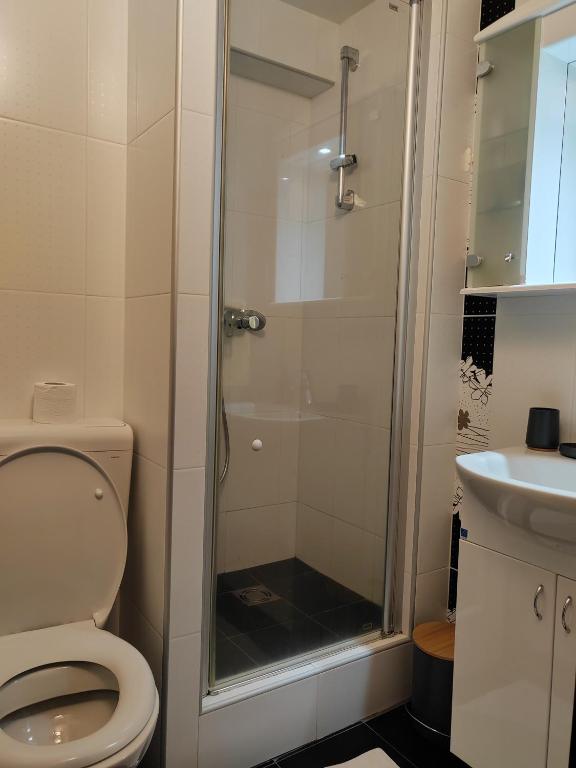 Kopaonik centar - Konaci, lux apartment ANDREA - 2