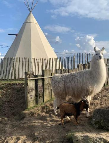Le tipi d'Adri, Gesves