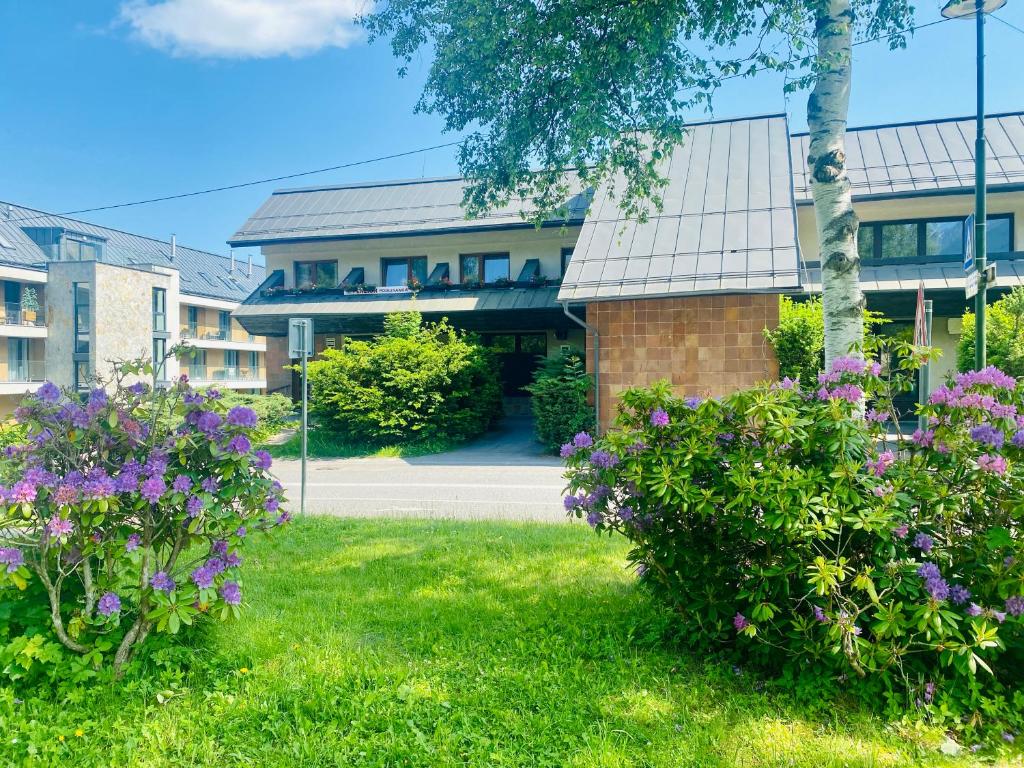 Podlesanka Vysoké Tatry, Starý Smokovec