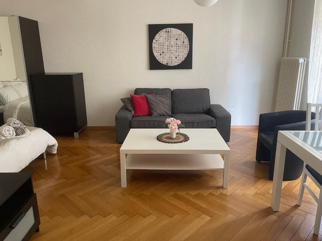 Appartement clame 6 minutes de la gare de Lausanne - 3