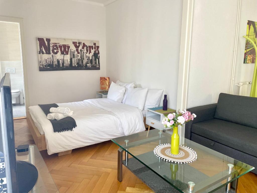 6 minutes walking from Lausanne railway station - 2