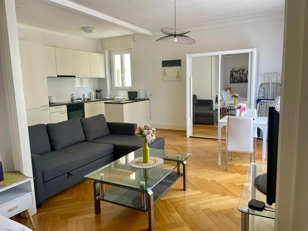 6 minutes walking from Lausanne railway station - 3