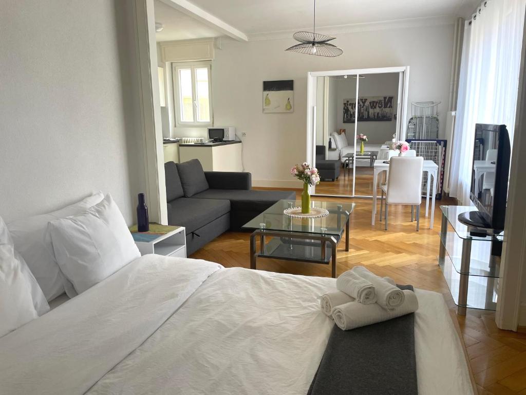 6 minutes walking from Lausanne railway station - 5