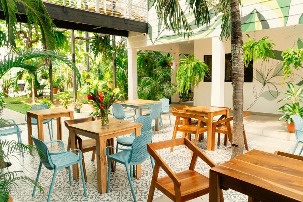 Restaurant, Wide Mouth Frog Quepos in Quepos