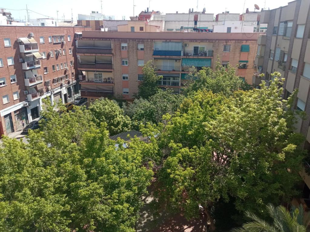 ELIO Murcia El Carmen - 3