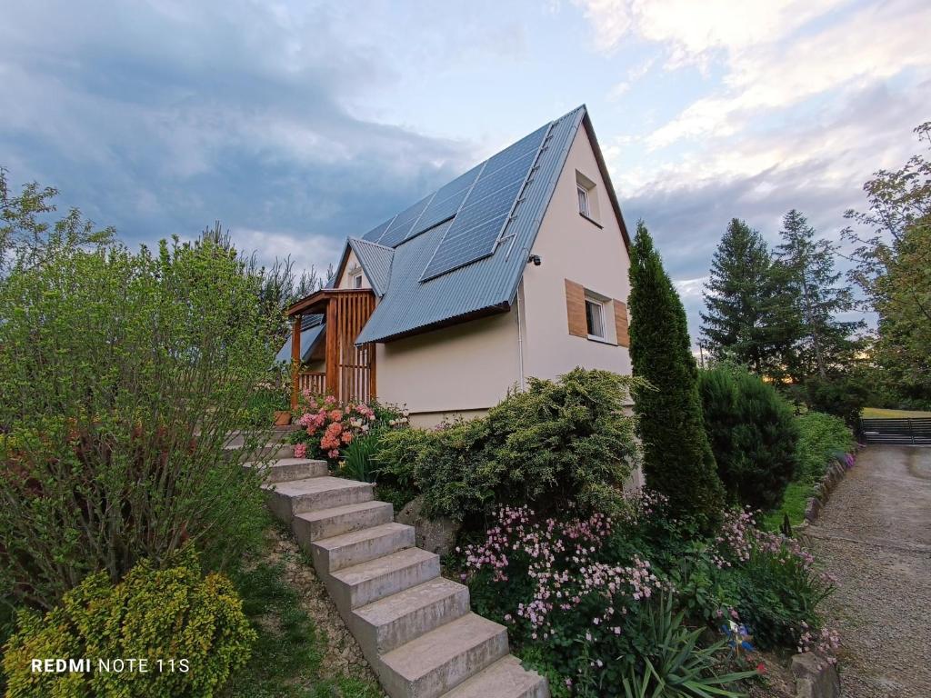 Skała i Las, Nowy Żmigród