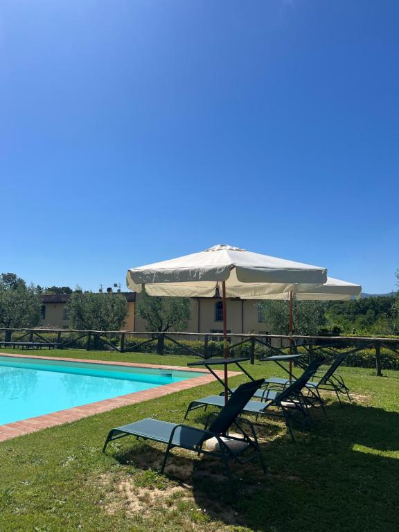 La coccinella gialla - 5