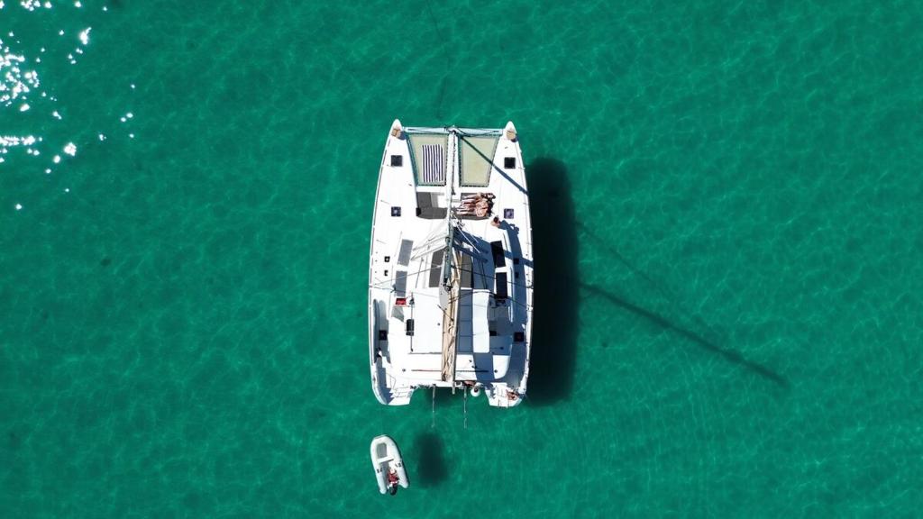 Lagoon 450 F 2019 Catamaran - 1