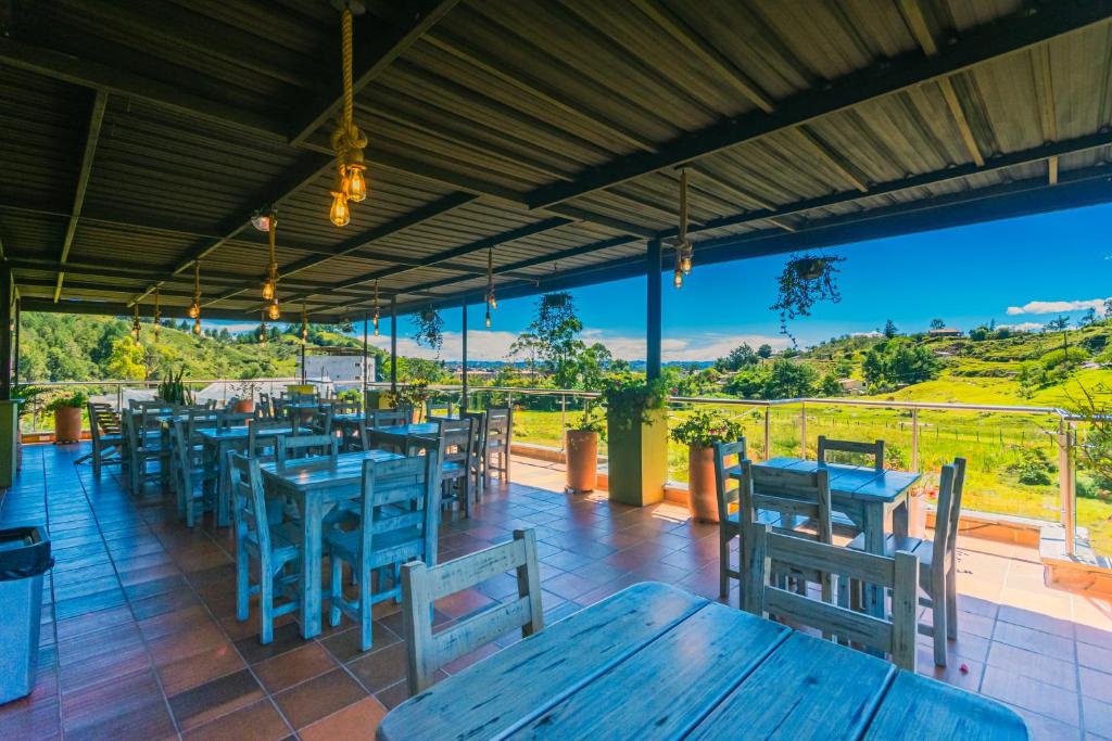 Ảnh 4