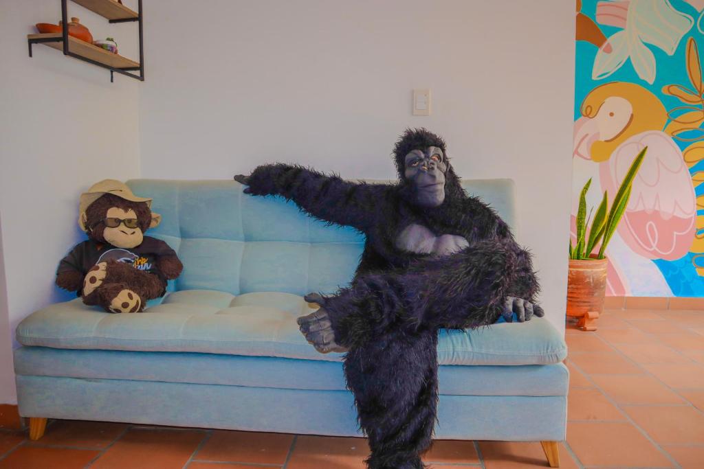 Hostel Trip Monkey San Gil - 4