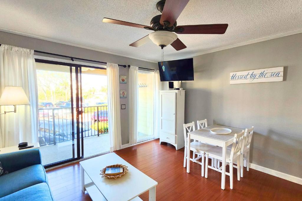 Turtles & Dolphins & Crabs, Oh My!, Hilton Head Island