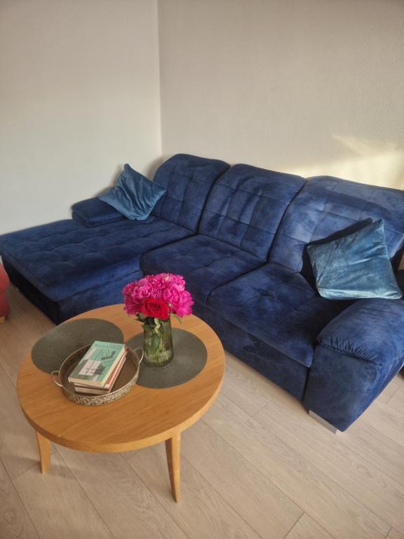 Pušų lašas apartamentai, Birštonas