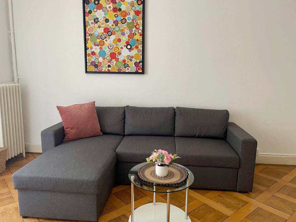 8 minutes walking from Lausanne Train station - 4