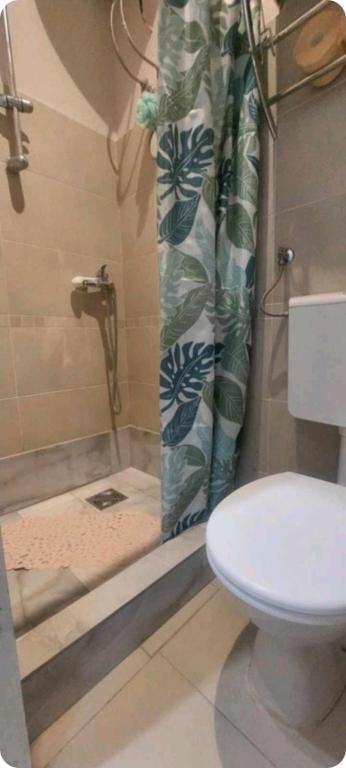 Joker Bircaninova, Bělehrad