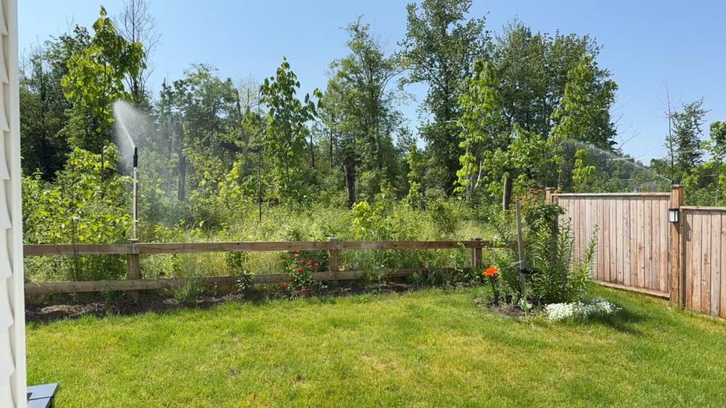 Basement suite -Langley Willoughby, Langley