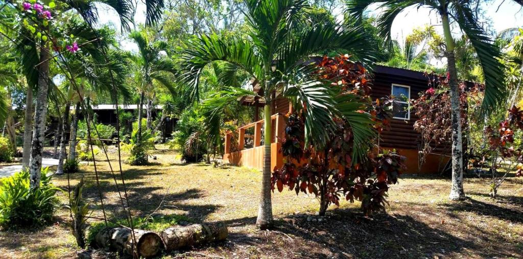 Cơ sở vật chất