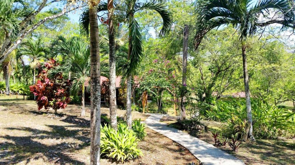 Cơ sở vật chất