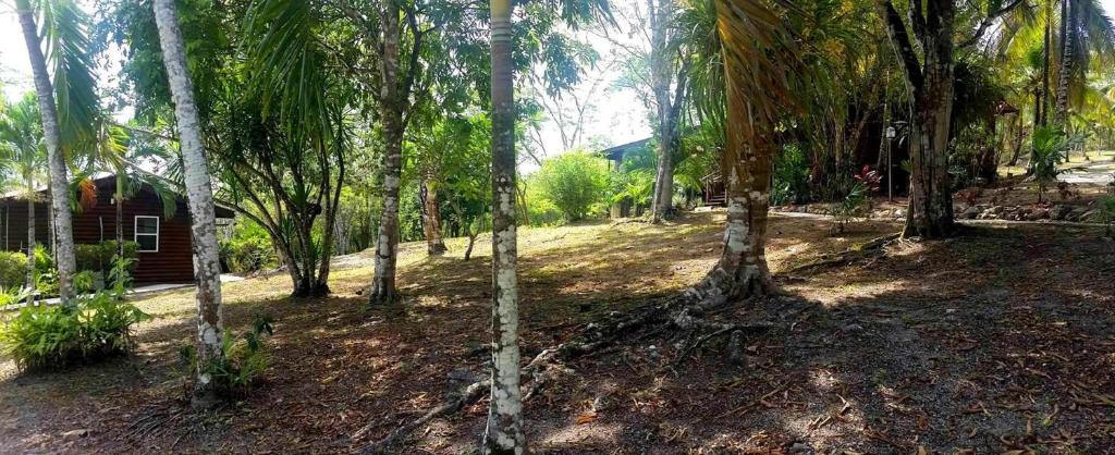 Cơ sở vật chất