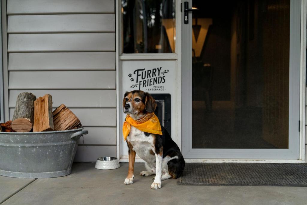 The Duckling, Glenlyon