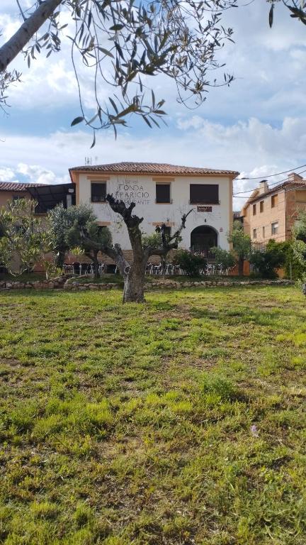 Fonda Aparicio, Fuentespalda